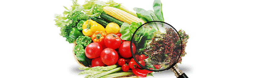 “捍衛食品安全底線,康來福用心供好菜”