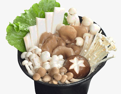 食用菌類食材