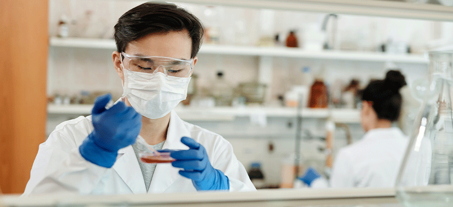 “蔬菜是從土地里面長出來的,我們就從土地開始”