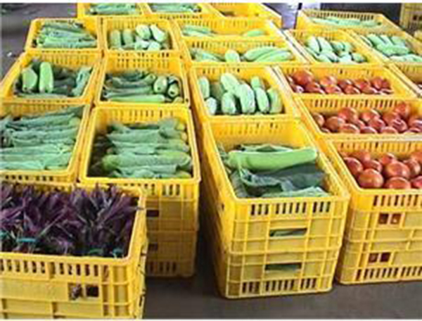 食配人都在做什么？康來福食配人的白天黑夜！