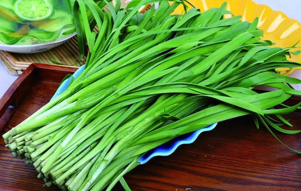 春韭.jpg