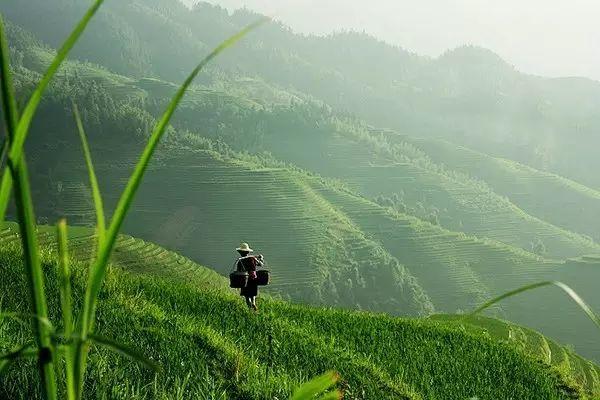 驚蟄 | 春雷驚百蟲，養(yǎng)肝好時機
