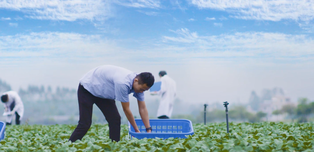 一顆好蔬菜,要從源頭開始下功夫.png 一顆好蔬菜,要從源頭開始下功夫.png