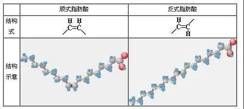 反式脂肪酸是什么.jpg