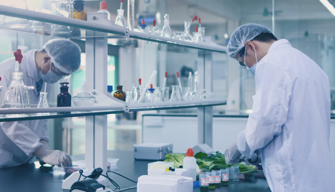 康來福廣州配送蔬菜中心檢測.png 康來福廣州配送蔬菜中心檢測