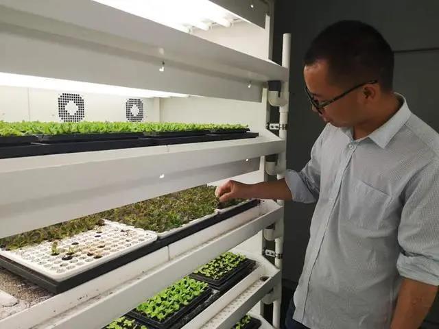 國產無人蔬菜種植設備.jpg 國產無人蔬菜種植設備