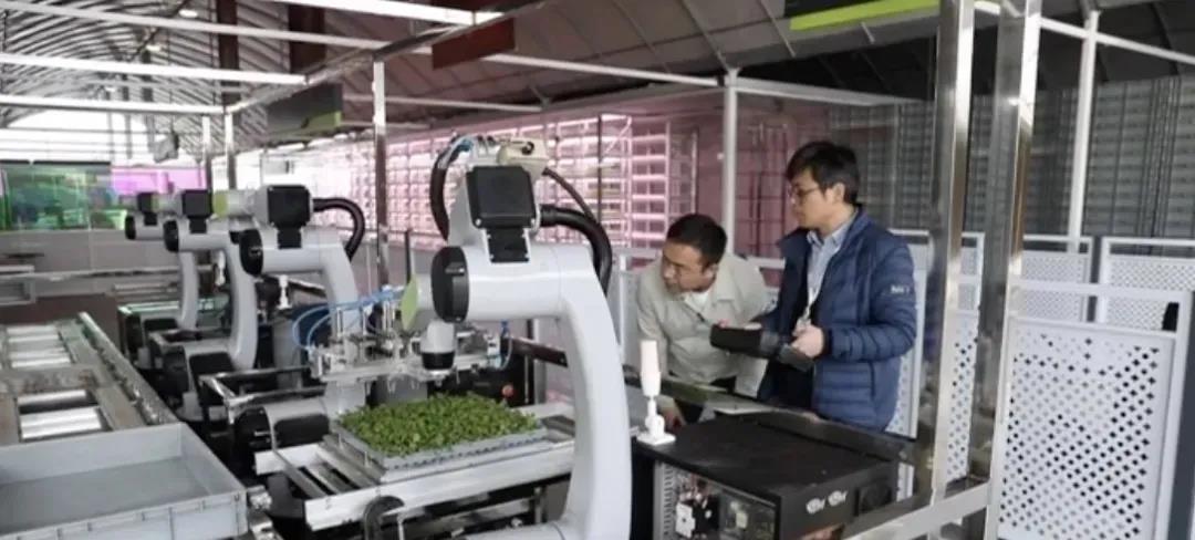 上海無人蔬菜種植基地.jpg 上海無人蔬菜種植基地