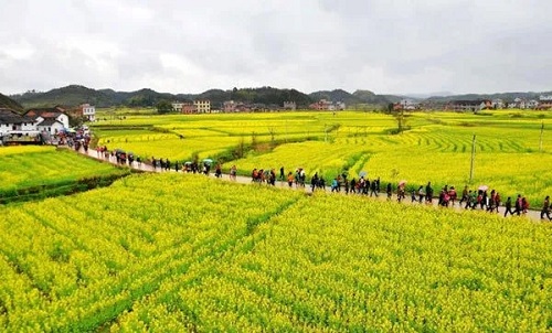 農產品配送.jpg 農產品配送.jpg