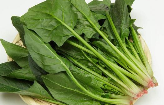 菠菜.png 生鮮蔬菜菠菜