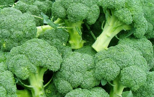 西蘭花.png 生鮮蔬菜西蘭花