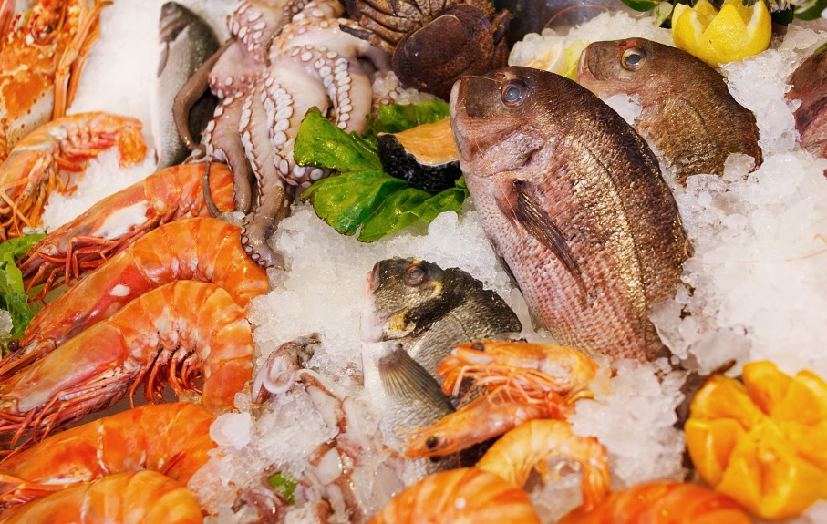 新鮮生鮮食材魚肉.png 新鮮生鮮食材魚肉