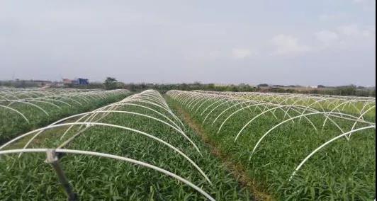 康來福河南分公司.jpg 康來福河南分公司