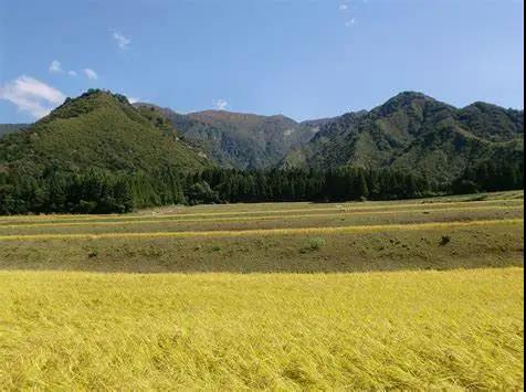 盡管夏天是匆匆的走了,但是美味總能時(shí)刻品嘗!