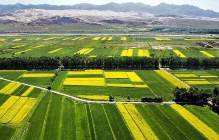 農產品資訊農業農村.png 農產品配送資訊農業農村圖片