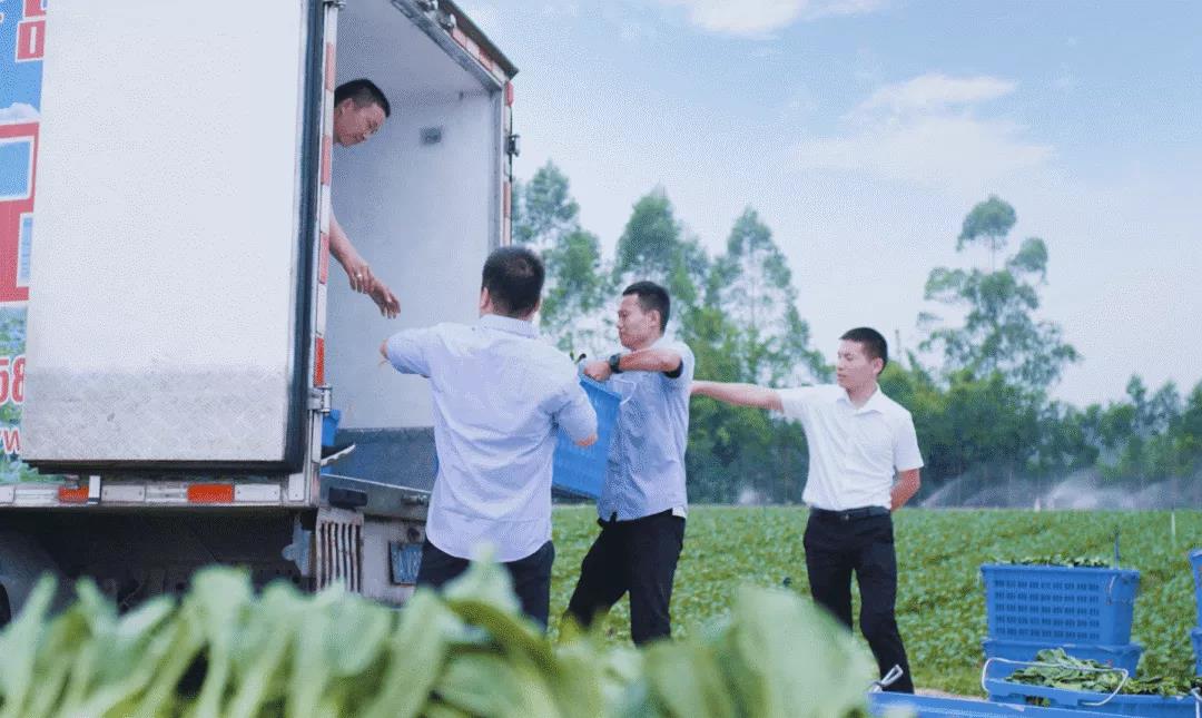 康來福蔬菜配送.jpg 康來福蔬菜配送