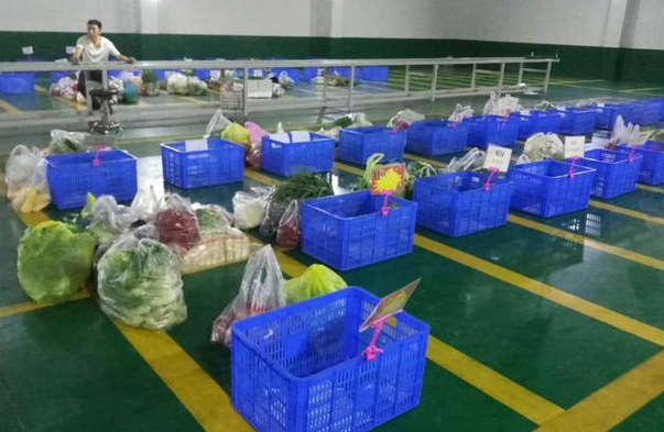 微信截圖_20210901170148.png 人工蔬菜分揀