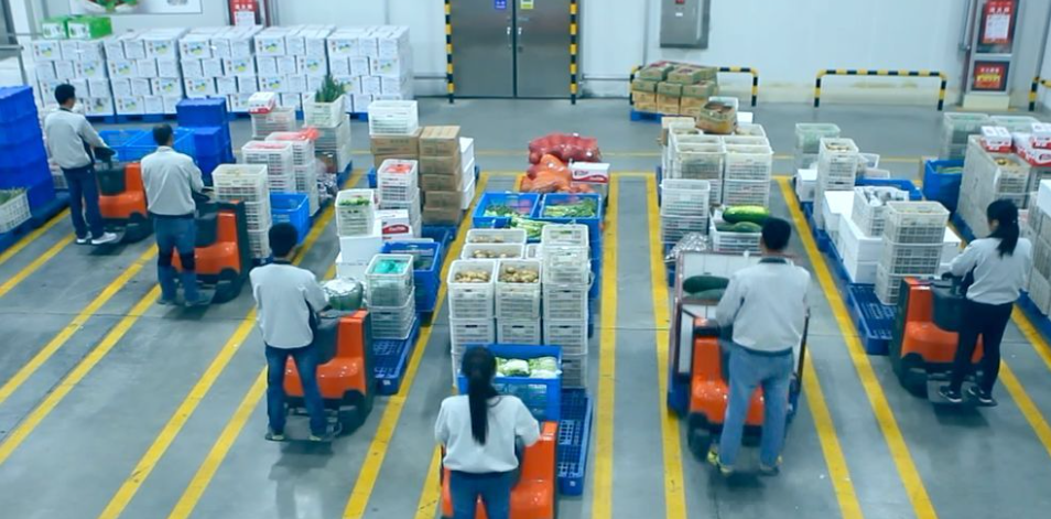 微信截圖_20210901170217.png 蔬菜配送機(jī)械分揀