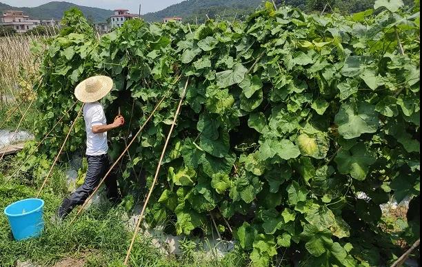 康來(lái)福基地.jpg 康來(lái)福基地