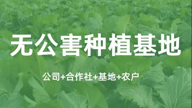 無公害基地.jpg 無公害基地.jpg