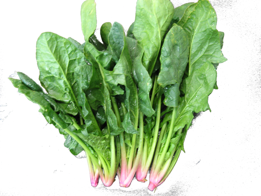 菠菜.png 菠菜.png