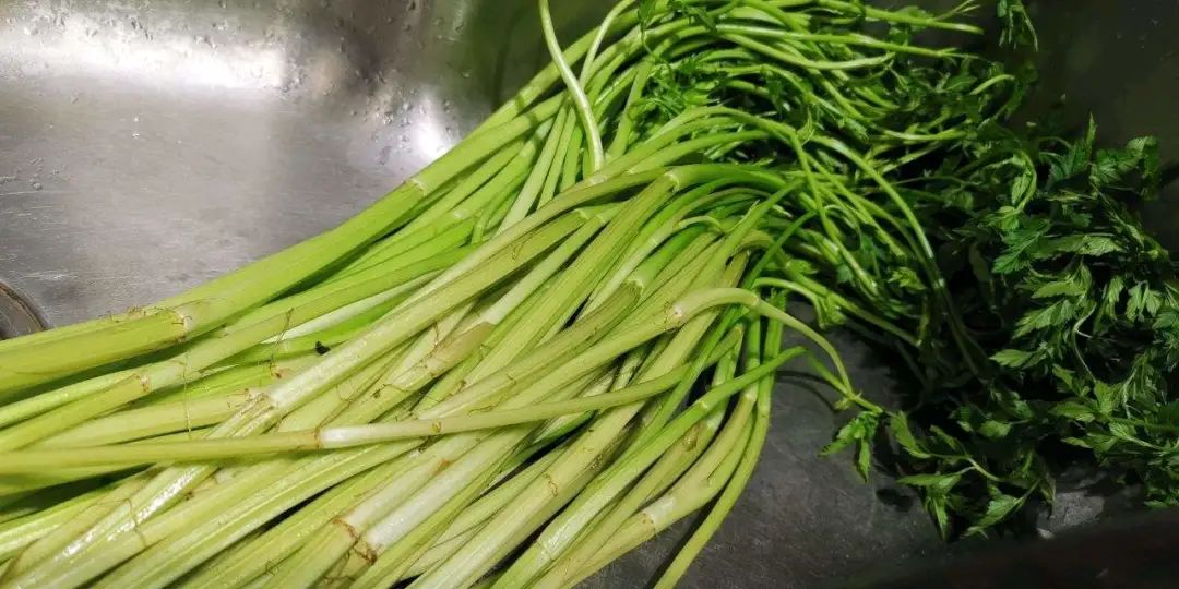 水芹.jpg 水芹.jpg