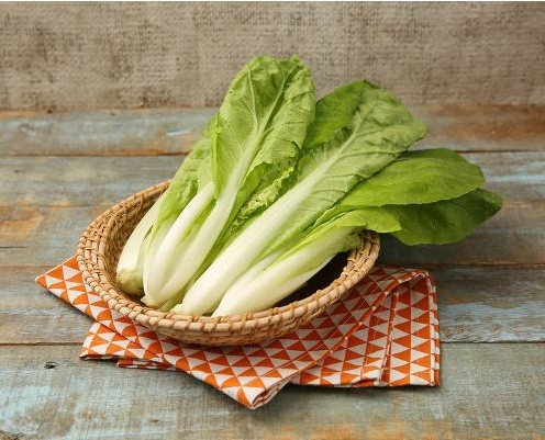 小白菜.png 小白菜.png