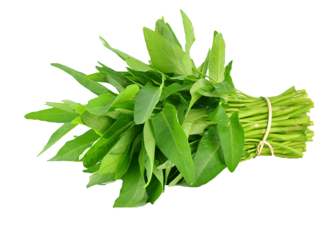 空心菜.png 空心菜.png