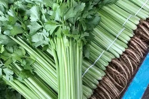 香芹.jpg 香芹.jpg