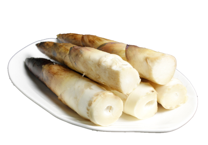 新鮮竹筍.png 新鮮竹筍