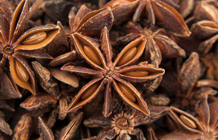 香料八角 香料八角