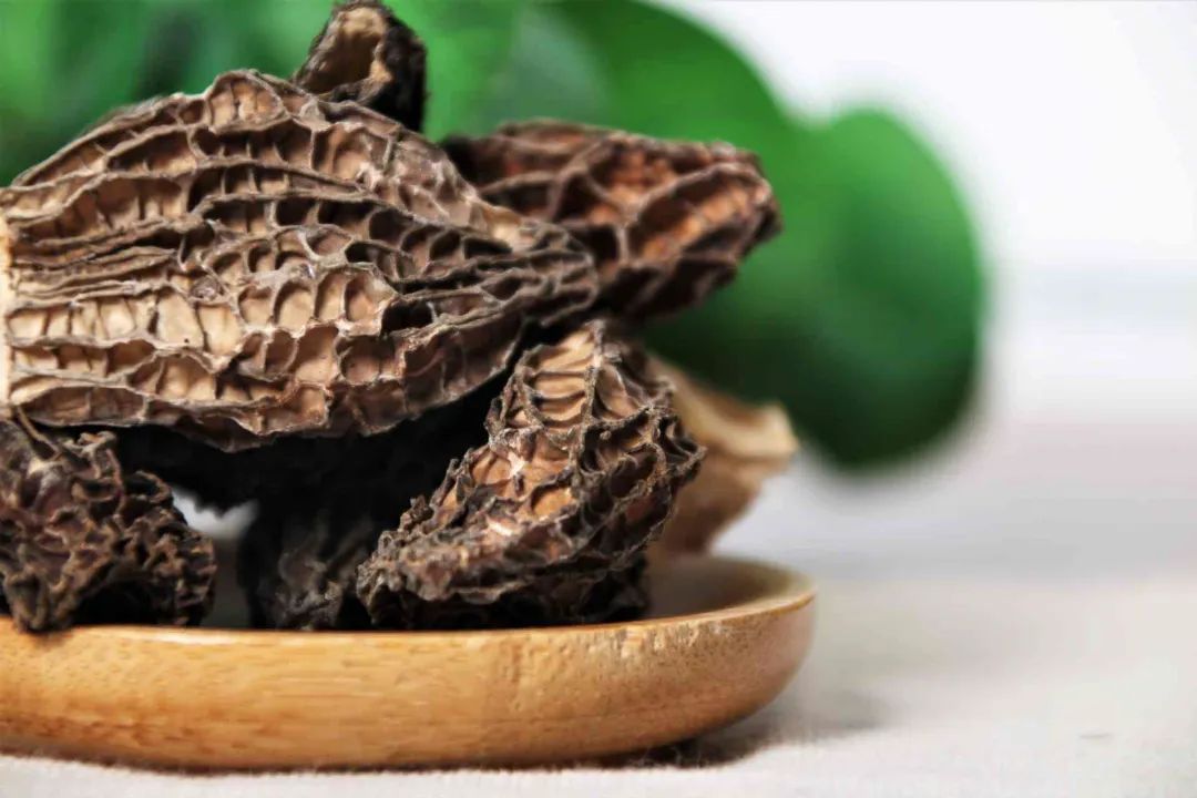 羊肚菌 羊肚菌