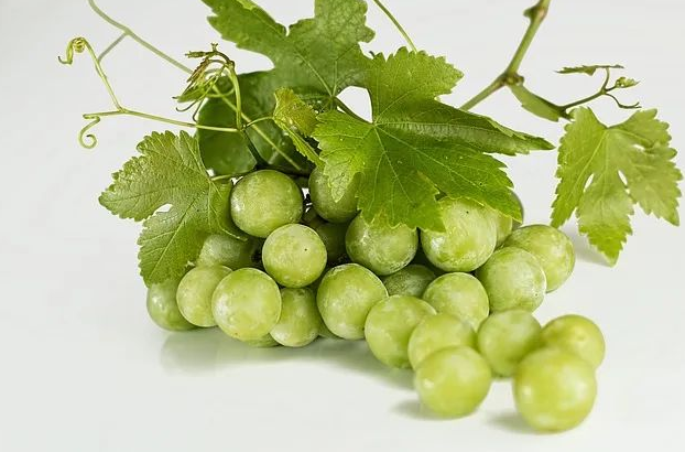一串葡萄 一串葡萄