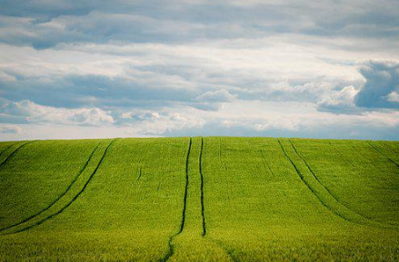 農業生產種植基地 農業生產種植基地