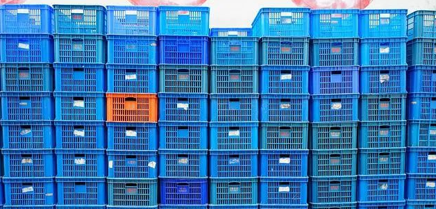 蔬菜框.png 蔬菜框.png