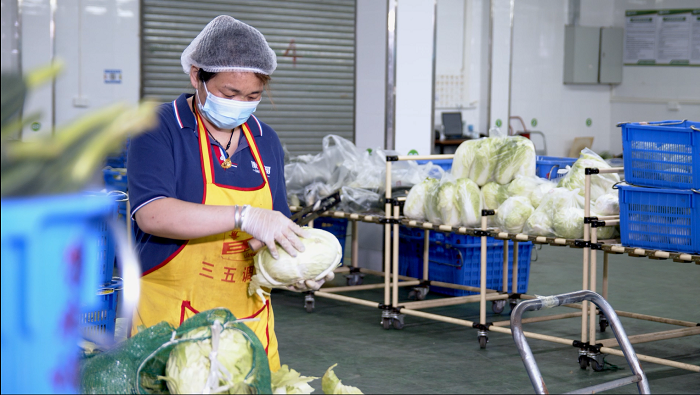 康來福食材價格 康來福食材價格