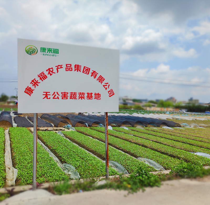 康來福蔬菜基地 康來福蔬菜基地