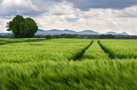 農業生產種植基地 農業生產種植基地