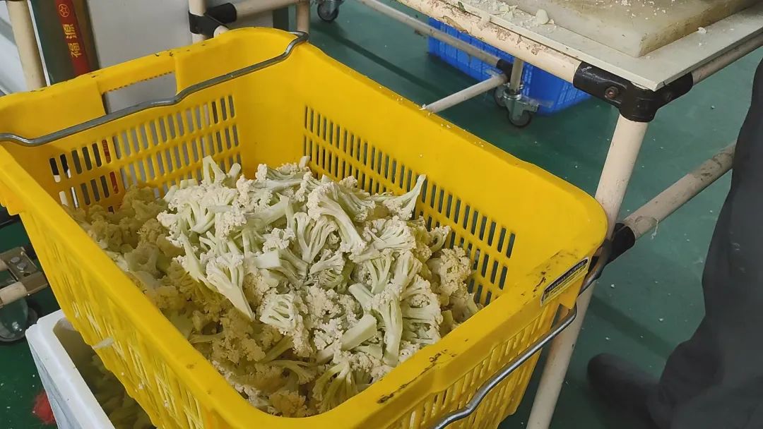 康來福食材粗加工 康來福食材粗加工