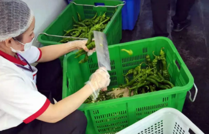 蔬菜加工.png 蔬菜加工.png