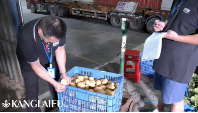 蔬菜配送 蔬菜配送