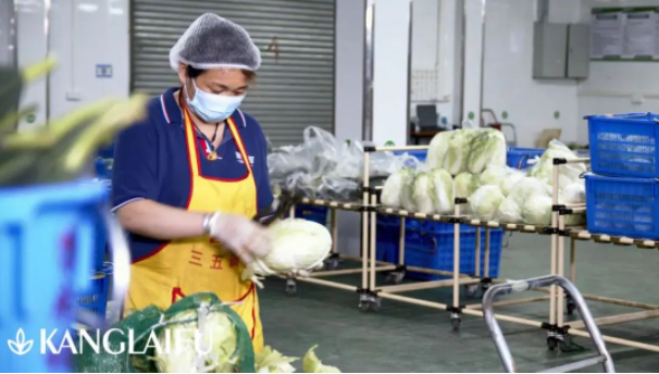 蔬菜配送 蔬菜配送