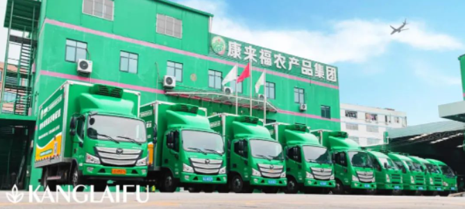 康來福集團 康來福集團