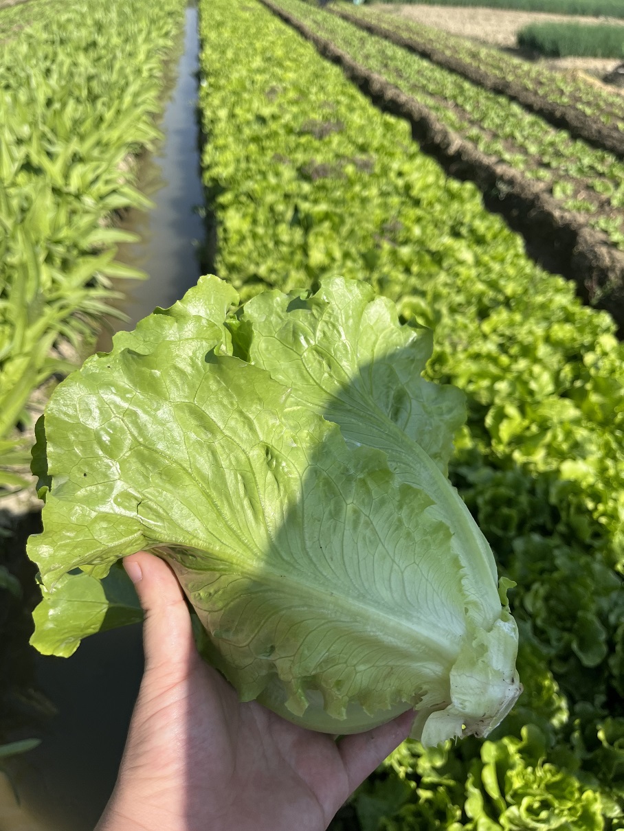 微信圖片_20231128114119 - 副本.jpg