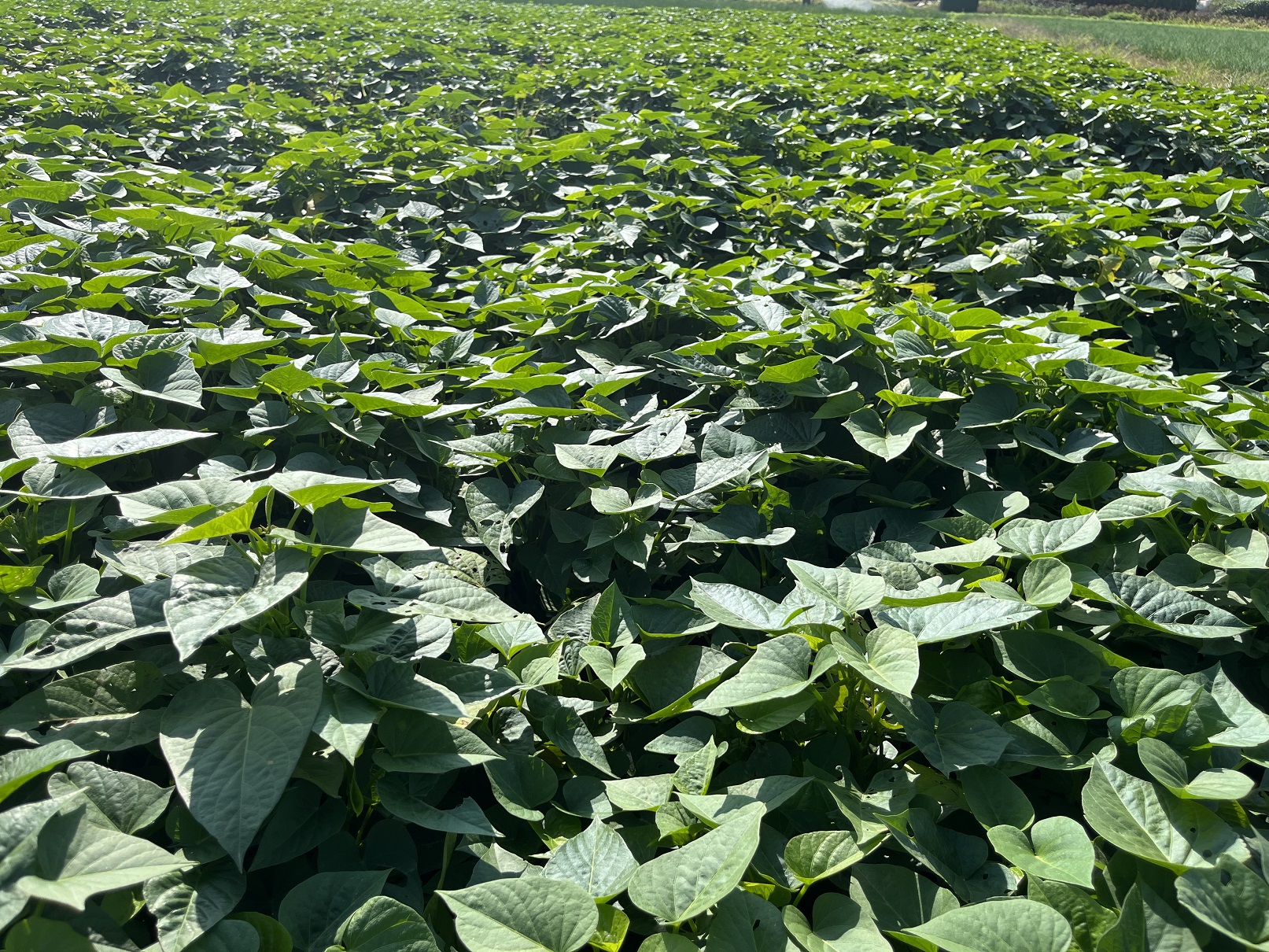 微信圖片_20231128114110 - 副本.jpg 微信圖片_20231128114110 - 副本.jpg